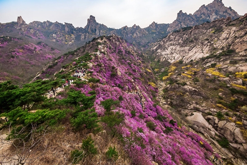 2021青島大珠山游玩指南