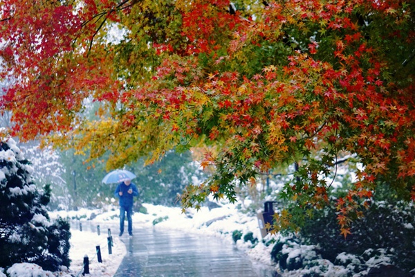 冬天杭州西湖旅游線路推薦 這份西湖下雪精品路線攻略請收好